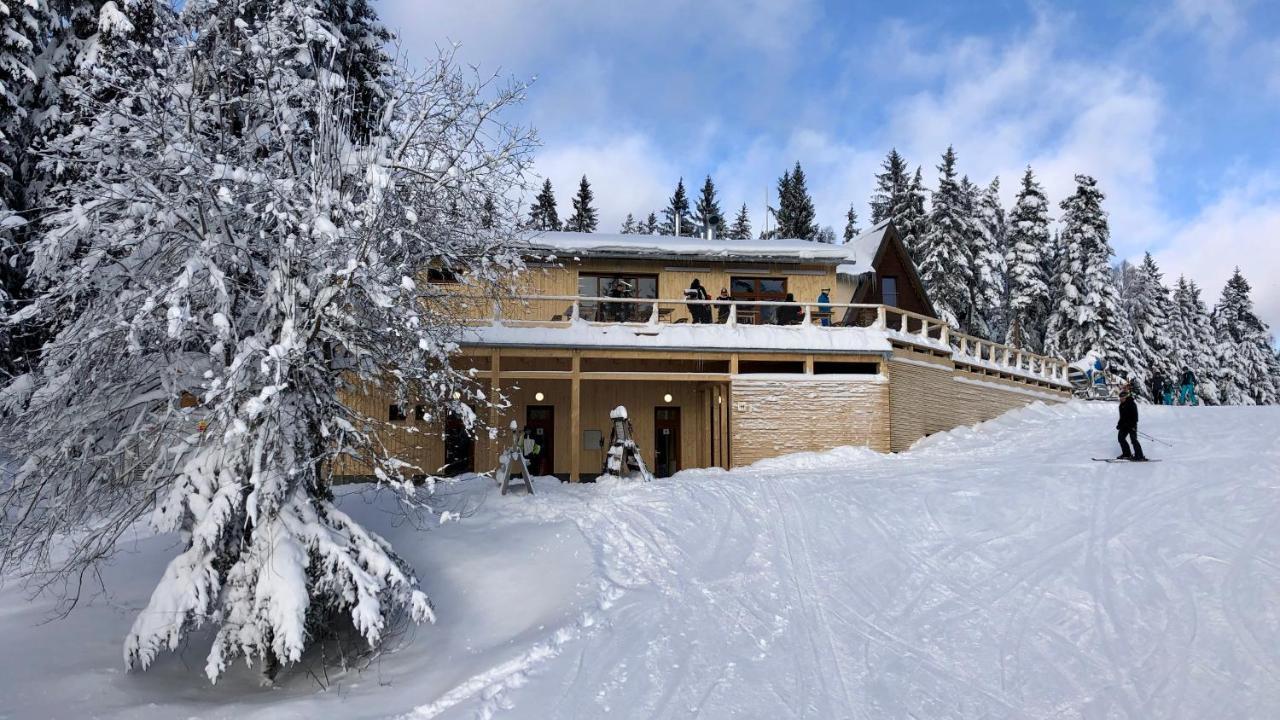 Apartmány Riviéra 511 Lipno nad Vltavou Kültér fotó