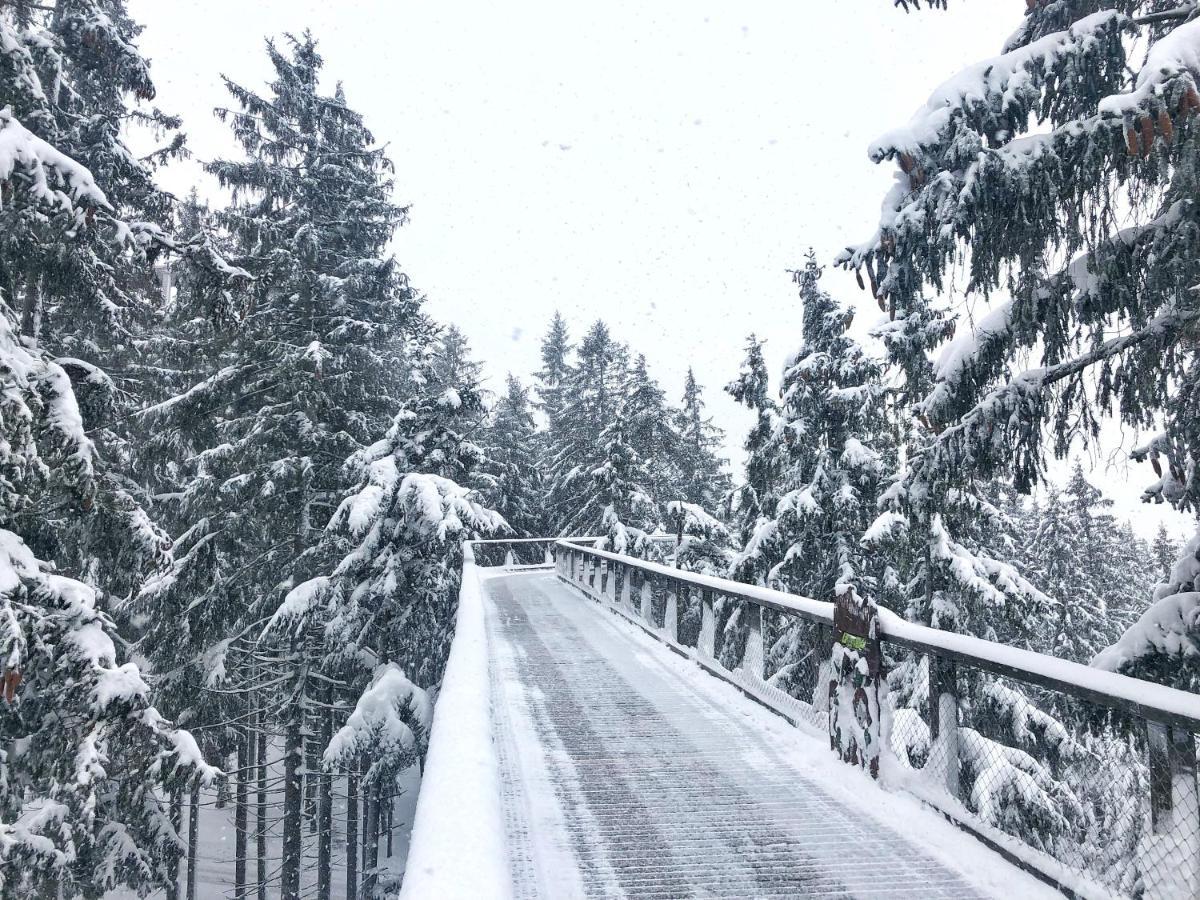 Apartmány Riviéra 511 Lipno nad Vltavou Kültér fotó